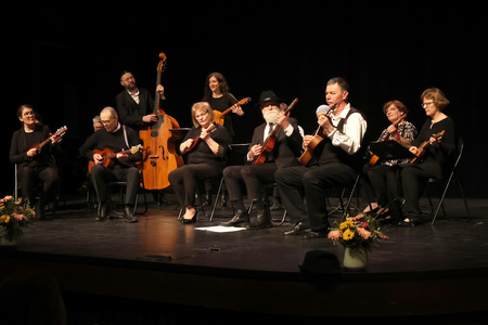 DRUMLJA, DRUMLJA, DRUMLJICA 04 FOTO LJUBO VUKELIČ